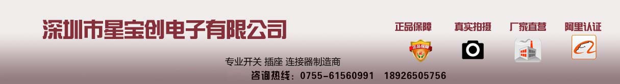 星宝电子有限公司